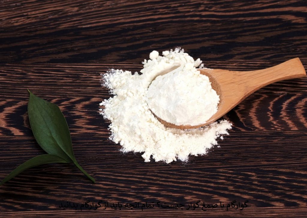 گوارگام یا صمغ گوار چیست؟ تمام انچه باید از گوارگام بدانید