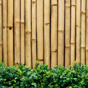 0 تا 100 پارتیشن بامبو + کاربرد، مزایا و معایب