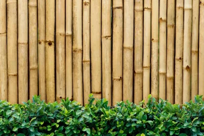 0 تا 100 پارتیشن بامبو + کاربرد، مزایا و معایب