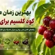 بهترین زمان مصرف کود کلسیم برای گیلاس